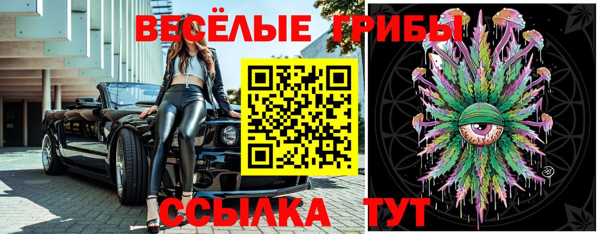 Псилоцибиновые грибы Psilocybine cubensis Фурманов
