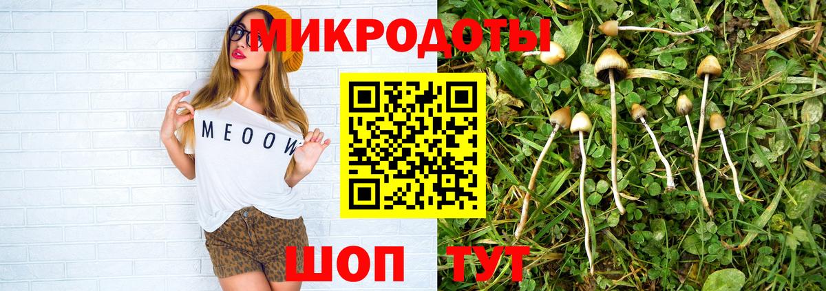 Галлюциногенные грибы Psilocybe  Псилоцибиновые грибы Magic Shrooms  Фурманов  наркота  Вход с VPN 